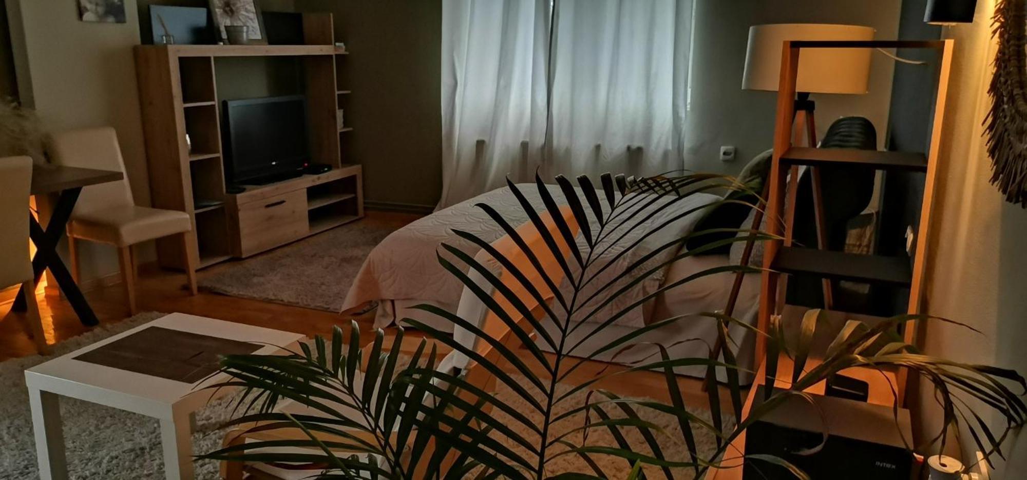 Crystal Kragujevac Apartment Luaran gambar